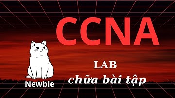LAB CCNA newbie | RIP, SVI, Vlan trunking