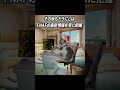 Five Nights at Freddy's初心者から世界6位までの物語。前編