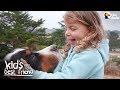 Enormous Dogs Love Taking Care Of Their Little Sister | The Dodo Kid's Best Friend