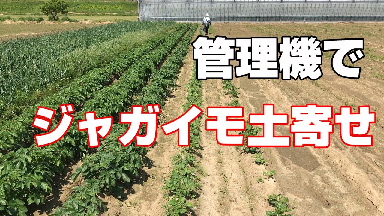 ジャガイモ土寄せ Youtube