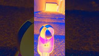 Download Lagu Which ringtone sound is the best ? MP3