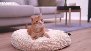 Coussin Crème Pour Chat