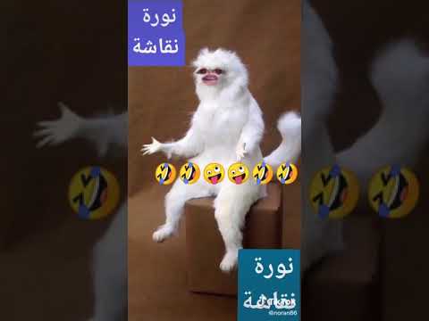 زغرتي زغرتي أثريا