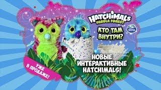 НОВЫЕ Hatchimals Fabula Forest | Обзор Папугастика и Тигретта - Видео от Игрушки ToyToy Trade