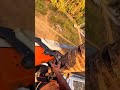 Best tree cutting moments 🤯 #treecutting #arborist #shortvideo #viralshort