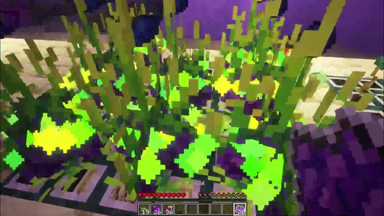 Mythicmobs plugin. Mythicmobs plugin