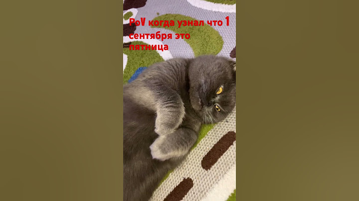 #когда#узнал#что#первое#сентября#это#пятница