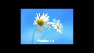 Evolution Of Windows Default Wallpapers Xp To 11
