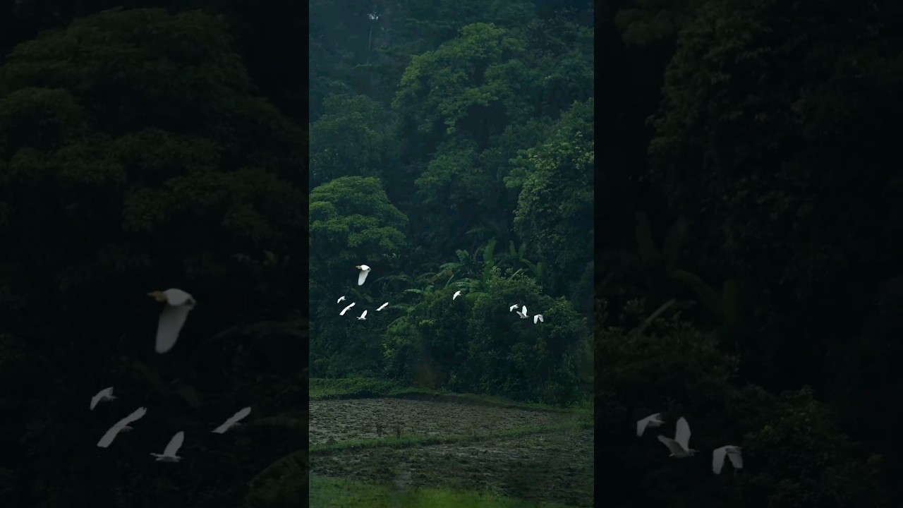 Dream Day climate #nature #sleep