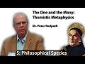 The One & the Many: Thomistic Metaphysics 05 (Philosophical Species) — Dr. Peter Redpath