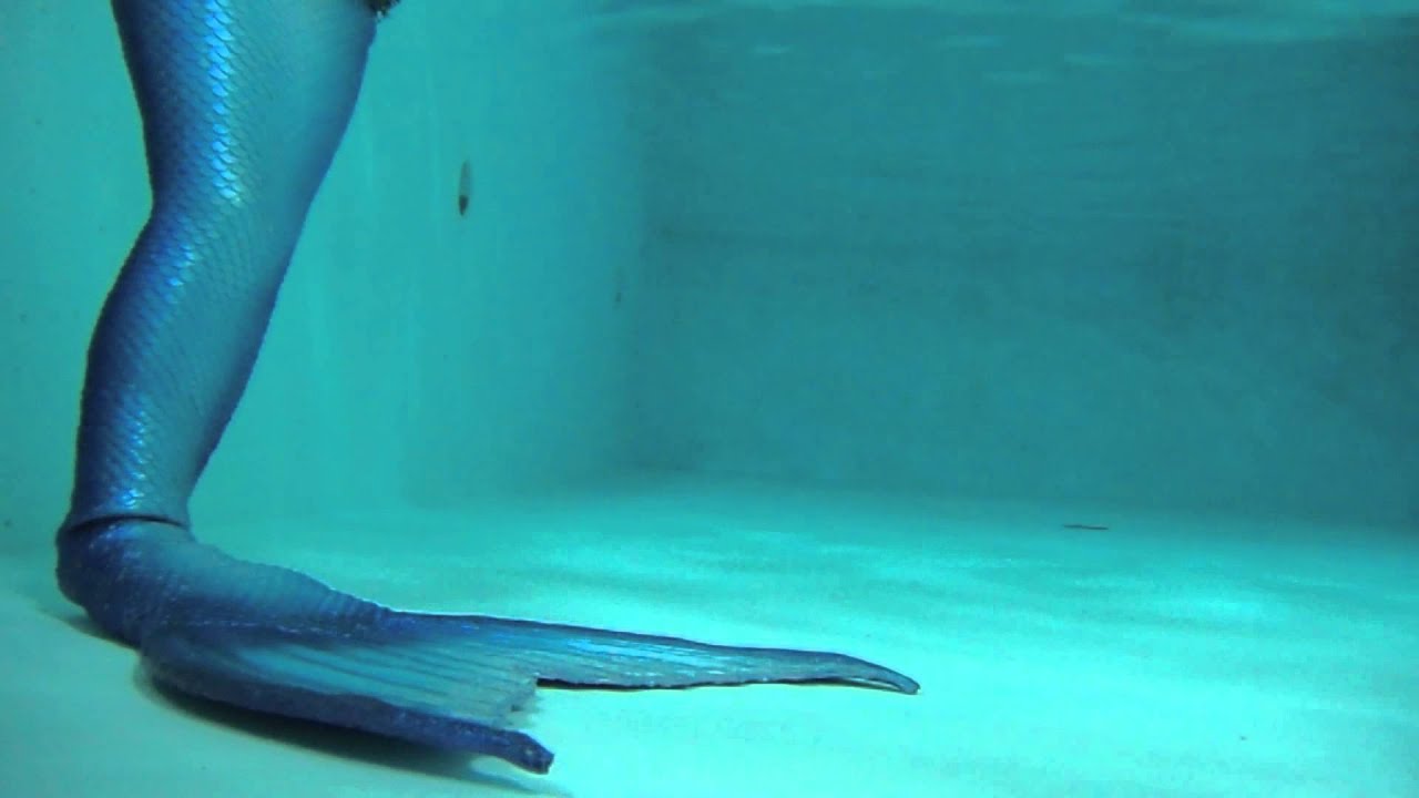 *Mermaid Ariel Starfish* YouTube