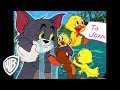 Tom y Jerry en Latino | ¡Pequeño problema, pequeño Quacker! | WB Kids