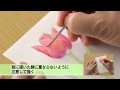 DVD付き技法書『植物画・はじめての彩色レッスン』ダイジェスト映像