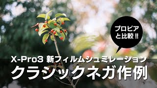 【クラシックネガ作例】FUJIFILM X-Pro3 新フィルムシミュレーションを比較レビュー（富士フイルム ミラーレス一眼カメラ）