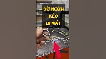 Cách Lấy đỡ ngón kéo cắt lông thú cưng khi bị mất | Quang3S #maikeo #grooming #cutdog