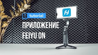 Feiyu ON - Настройки и возможности приложения | Туториал