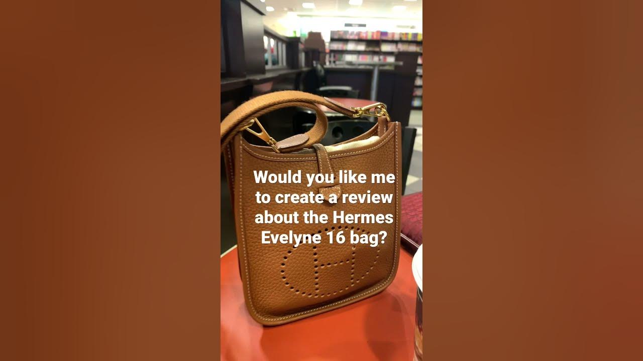 HERMES EVELYNE 16 MINI BAG + 7RP L'INSERT REVIEW  What Fits Inside + First  Impressions! 