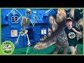 Giant Dinosaurs & Skeleton Escape! Dinosaur Adventure for Kids & Pretend Play with Mystery T-Rex Toy