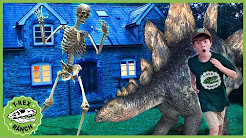 t rex ranch tv