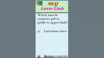 MCQ#Lower Limb#