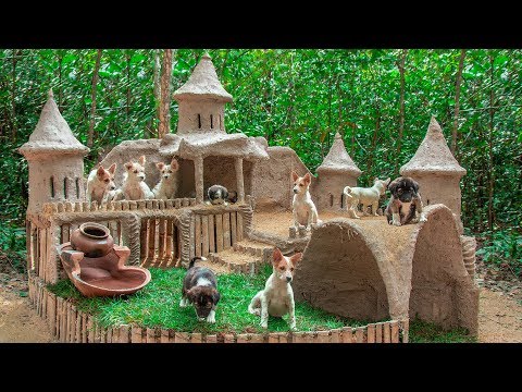 collect-abandoned-dog-and-build-mud-dog-house