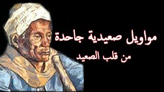 القصيدة الصعيدية ارفع سلاحك للشاعر الصعيدى عبدالسميع محمد