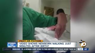 Video shows newborn walking?