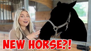 There's A NEW HORSE At The Farm!!