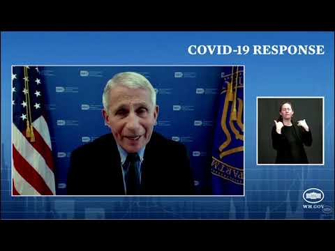 COVID-19 likely a 'natural occurrence', says Dr. Anthony Fauci