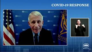 COVID-19 likely a 'natural occurrence', says Dr. Anthony Fauci