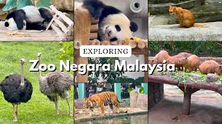 Exploring Zoo Negara Malaysia Exploring Zoo Negara Malaysia