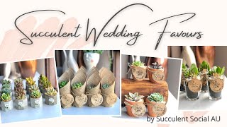 Succulent Wedding Favours \/ Gifts\/ Bombonieres\/ Giveaways