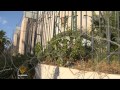 Old Faces Trouble Some Tunisia Voters 