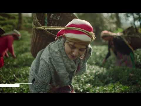 Find Your Paradise in Uttarakhand- For All Season