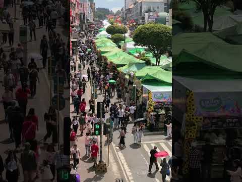 #SessionRoadInBloom 🍟🍔🥞🌮🌯🥣🍧🍨 #Panagbenga2026 🌻🌼🌹 #mag-ingatSaMandurukot 😁