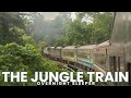 The Malaysian Jungle Railway - A 16 hour adventure on board the iconic Jungle Train 🇲🇾