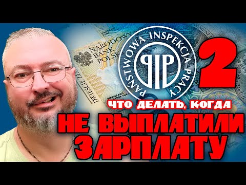 Как получить свои деньги с работодателя | Часть вторая | Работа на бусе до 3,5т по ЕС