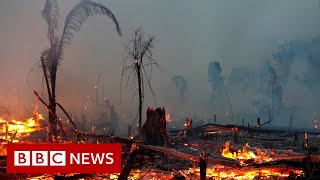 Climate change IPCC report is code red for humanity, UN scientists say - BBC News