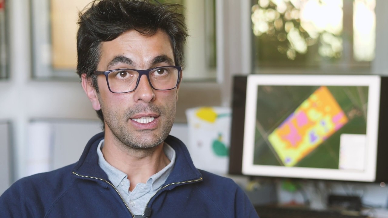 Precision Farming: How satellite images determine the optimum corn seed rate | KWS World of Farming