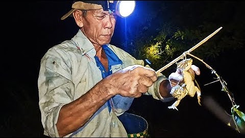 Thử thách thi tài cắm câu ếch với ba ở đồng Mỹ Xuyên và cái kết