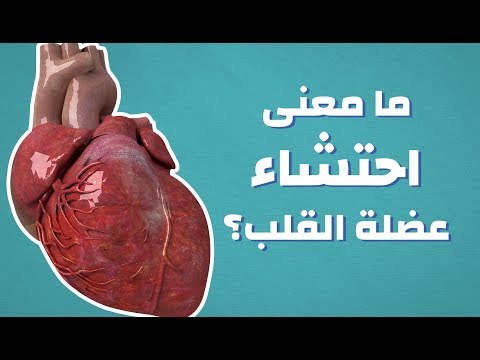 فيديو: أي جزء من القلب يحتمل أن يحدث احتشاء؟