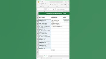 How to Count Distinct Values in Excel #excel #spreadsheets #exceltutorial #exceltricks #excelformula