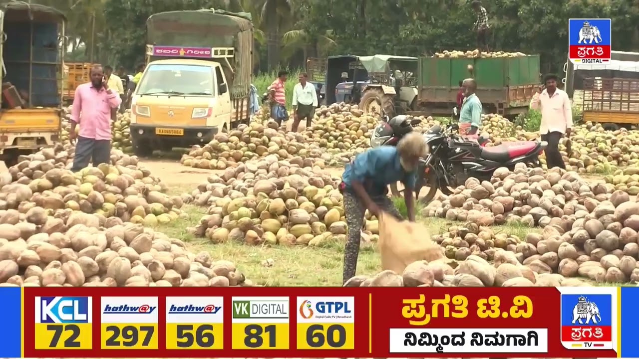 ಪಾತಾಳಕ್ಕೆ ಕುಸಿದಿದ್ದ ಕೊಬ್ಬರಿ, ತೆಂಗು ಬೆಲೆ ಮತ್ತೆ ಏರಿಕೆ | Pragathi TV