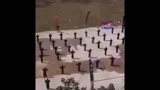 PSHT story wa // mekarlah bunga Terate ku