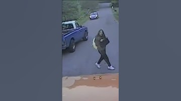 Video shows girl’s frightening brush with truck running school bus stop sign