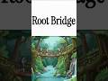 Living root bridge trek Meghalaya