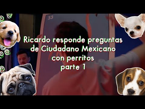 Ricardo responde dudas de Ciudadano Mexicano con perritos (Parte 1)