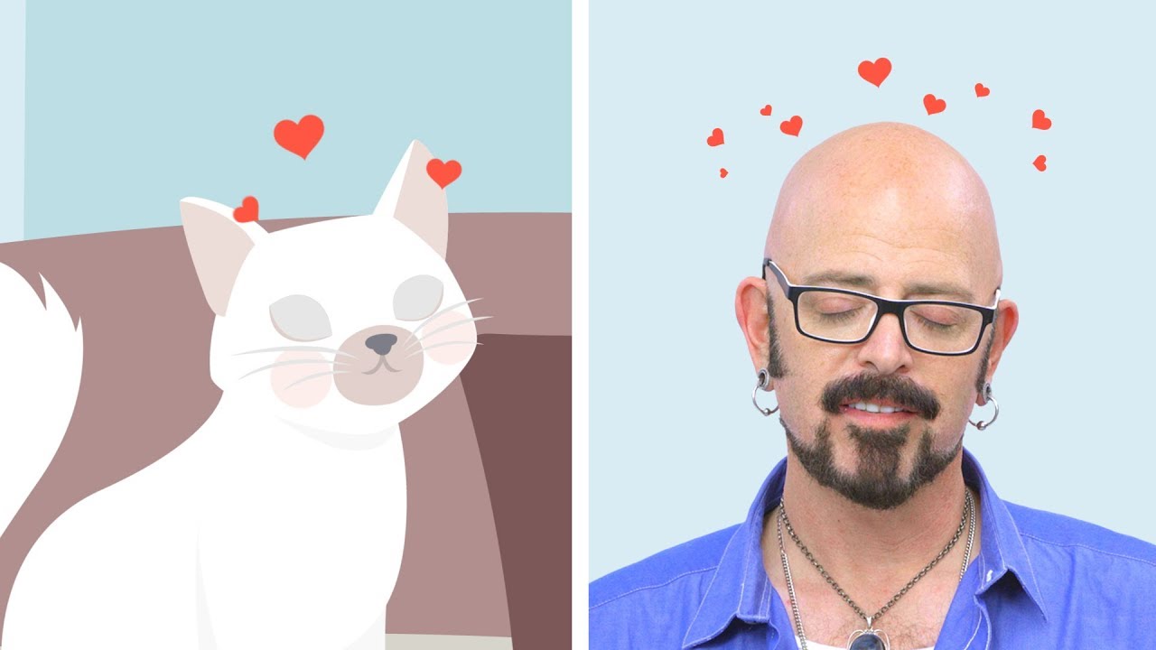 how to get a cat to love you