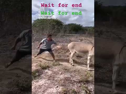 funny video 🤣🤣#shorts #viral #viralvideo #funnyshorts #trending #trendingshorts #comedyvideo