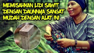 MEMISAHKAN LIDI SAWIT DENGAN DAUNNYA SANGAT MUDAH DENGAN ALAT INI